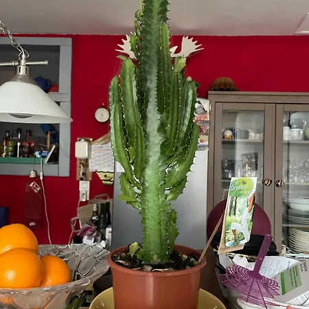 Lägenhet Libertecool Longuenee-en-Anjou